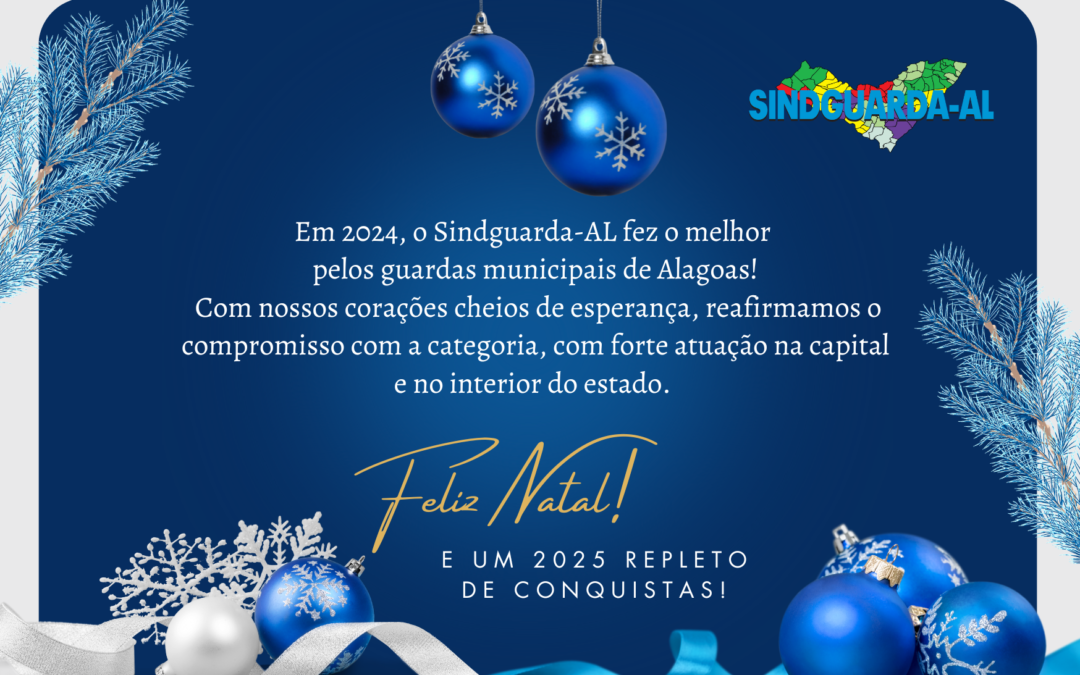 Feliz Natal e um próspero 2025!